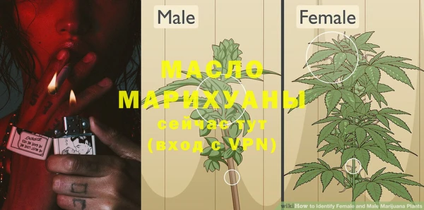мяу мяу мука Алагир