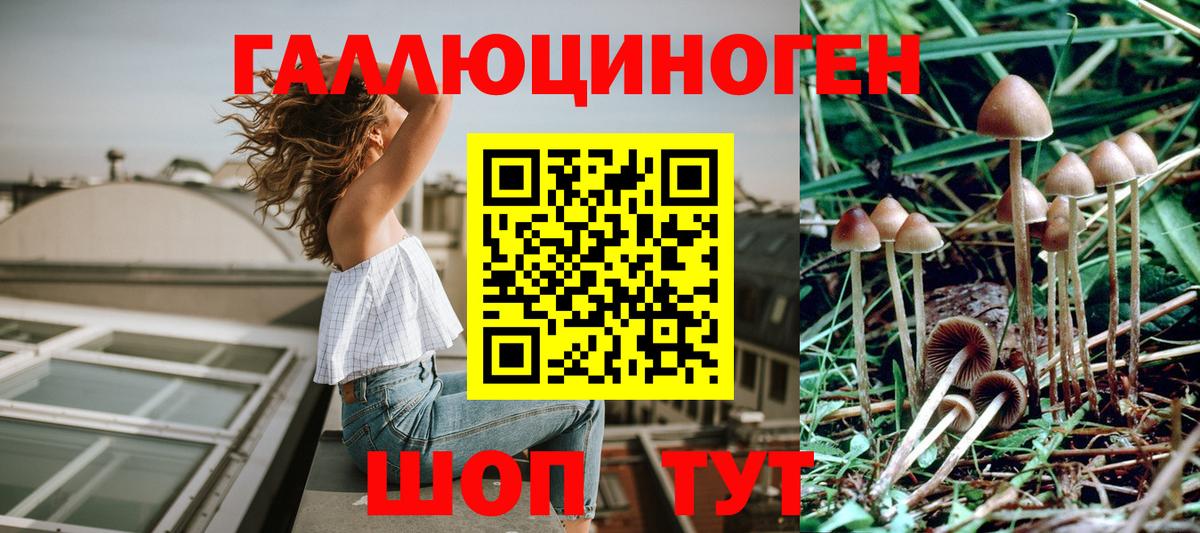 купить наркотик  Галлюциногенные грибы MAGIC MUSHROOMS  Вход с VPN  Архангельск 