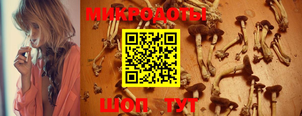 Галлюциногенные грибы Magic Shrooms Архангельск